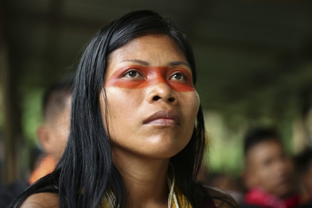 🌳 Esta Mujer Indígena Amazónica recibe “el Nobel del Medio Ambiente” –  Inspimundo